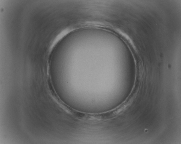 X0000081311365200702012324