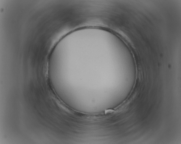 X0000081311366200702012324