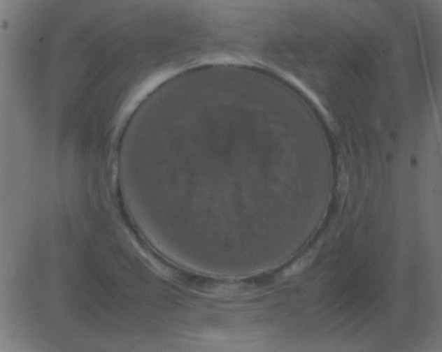 X0000081311367200702012324