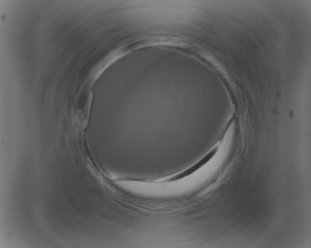 X0000081311369200702012324