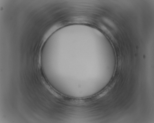 X0000081311370200702012324