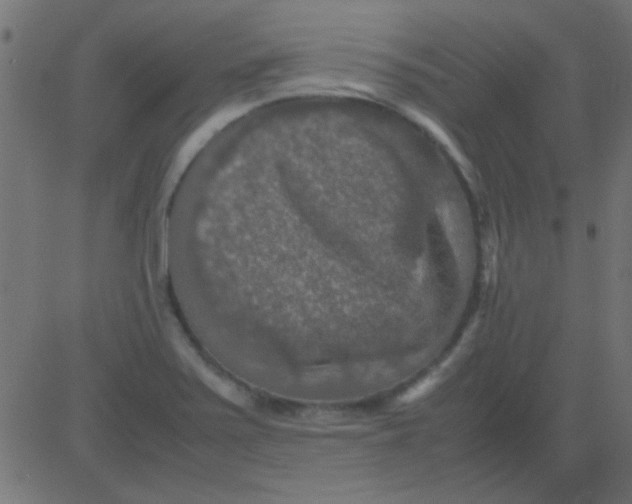 X0000081311371200702012324