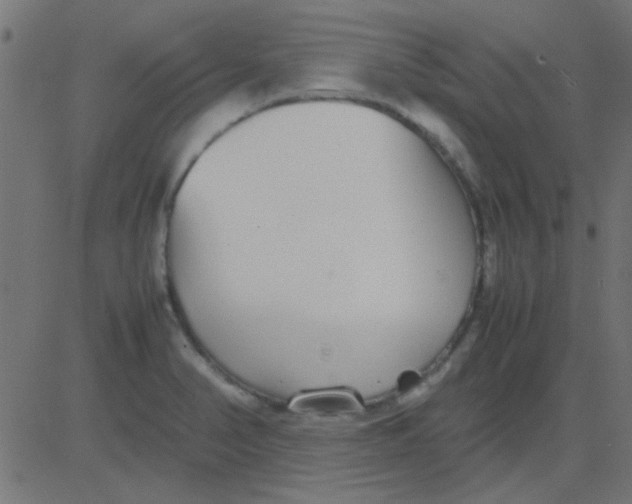 X0000081311374200702012323