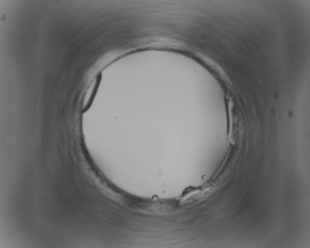 X0000081311375200702012323