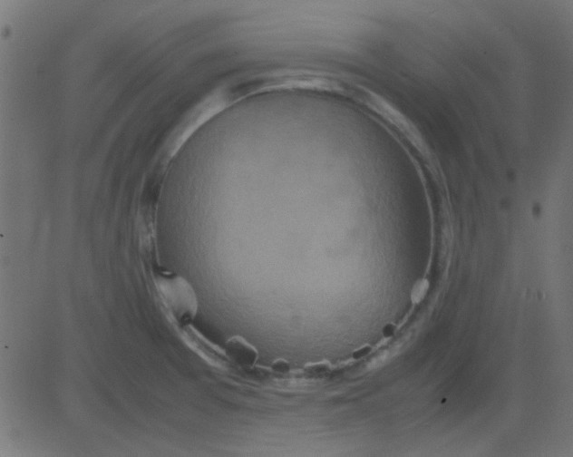 X0000081311377200702012323