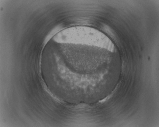 X0000081311378200702012323