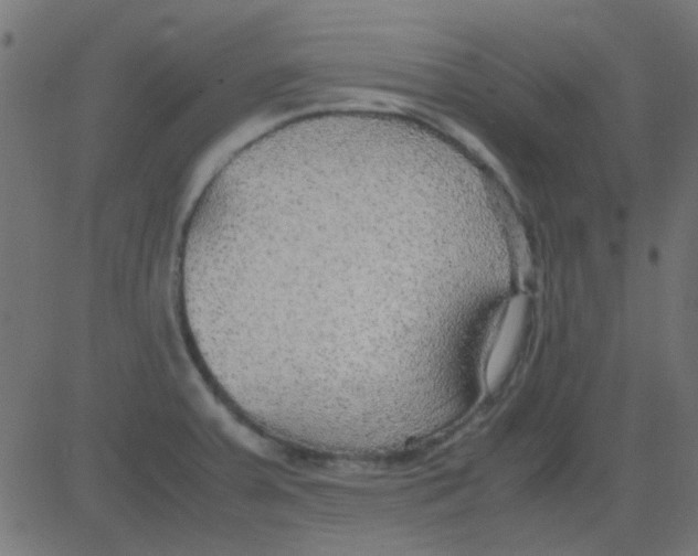 X0000081311379200702012323