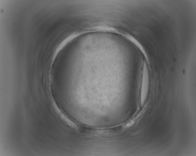 X0000081311381200702012323