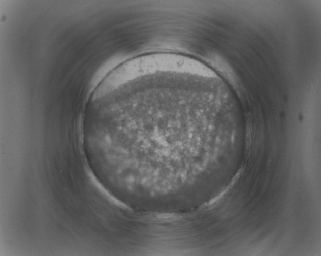 X0000081311382200702012323