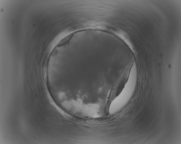 X0000081311383200702012323