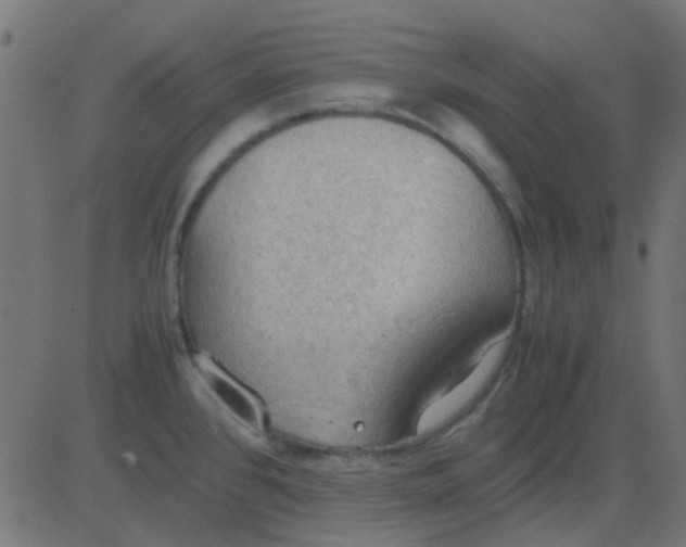 X0000081311384200702012323