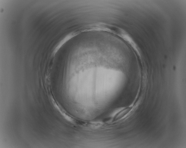 X0000081311385200702012323