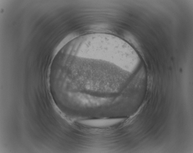 X0000081311386200702012323