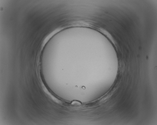 X0000081311387200702012323