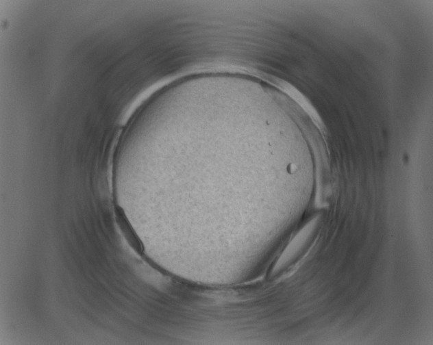 X0000081311388200702012323