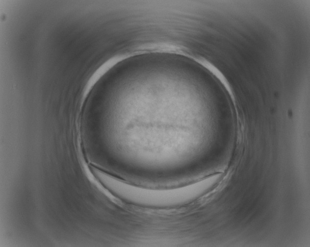 X0000081311389200702012323