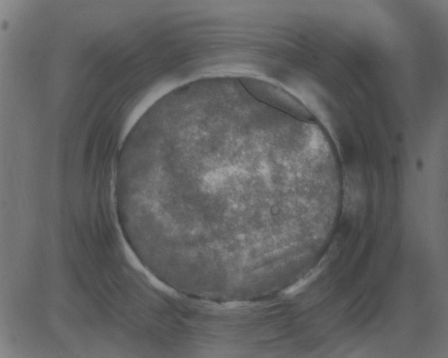 X0000081311390200702012323