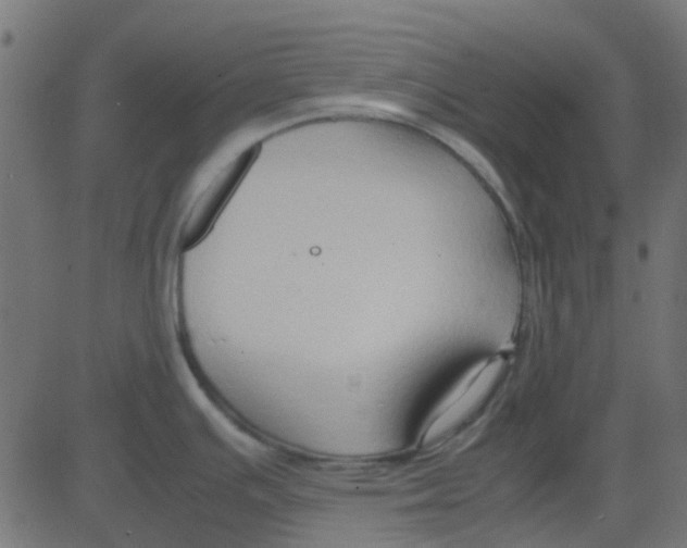 X0000081311391200702012323