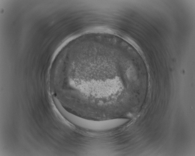 X0000081311392200702012323