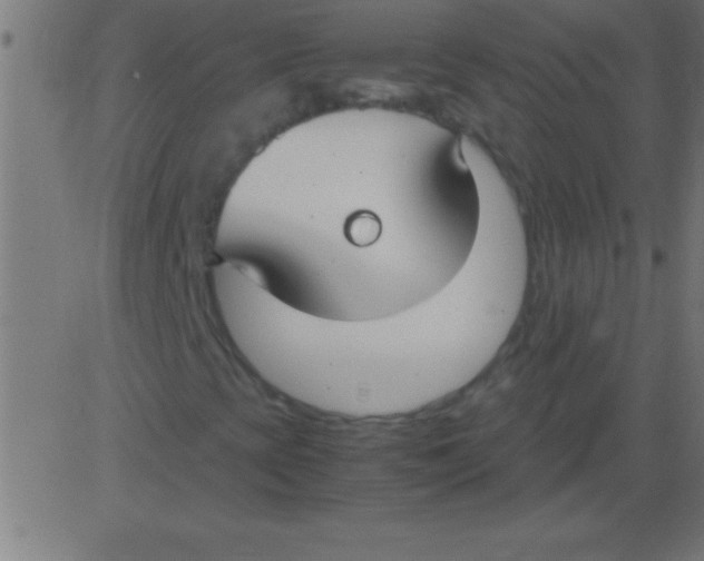 X0000081311393200702012322