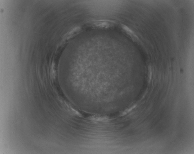 X0000081311394200702012322