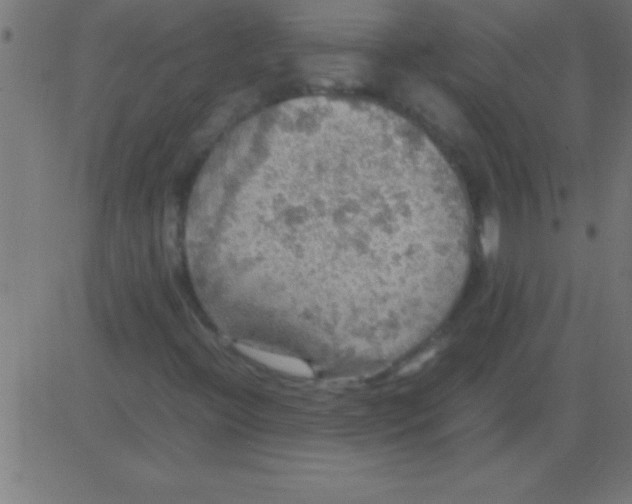 X0000081311396200702012322