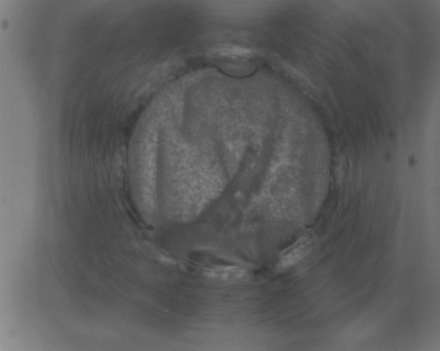 X0000081311397200702012322