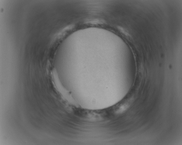 X0000081311398200702012322