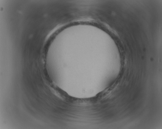 X0000081311400200702012323