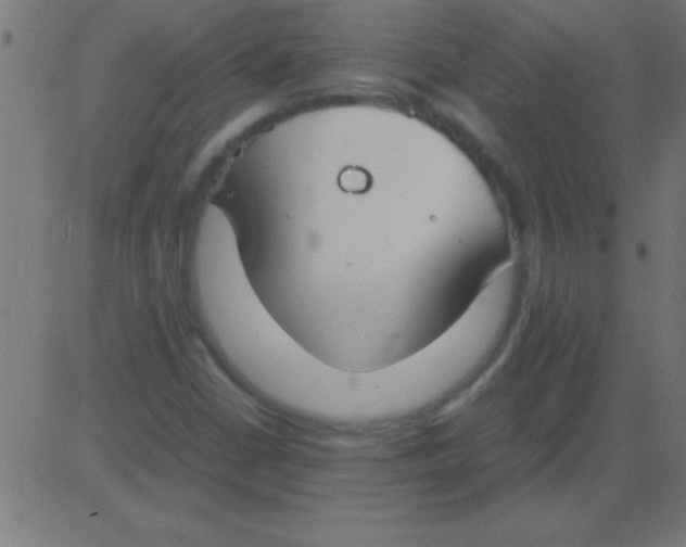 X0000081311402200702012323