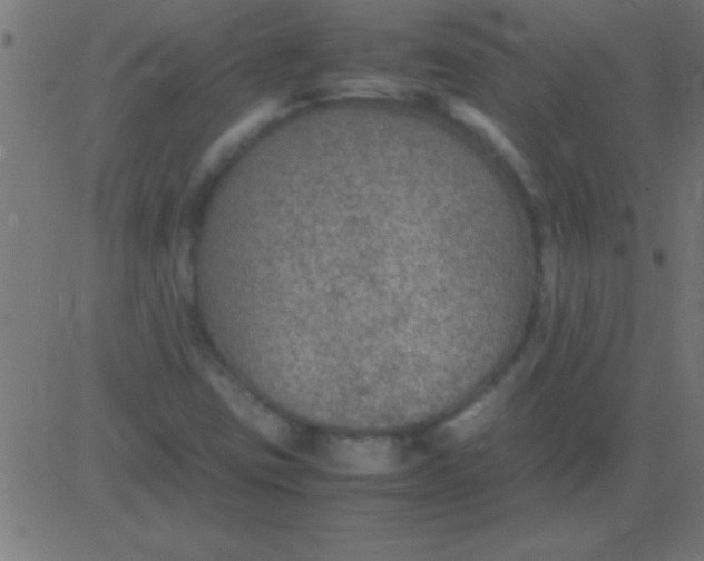 X0000081311403200702012323