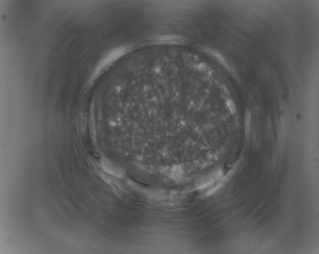 X0000081311405200702012323