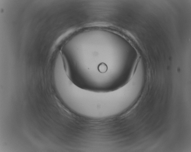 X0000081311406200702012323