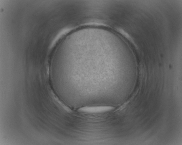 X0000081311408200702012323