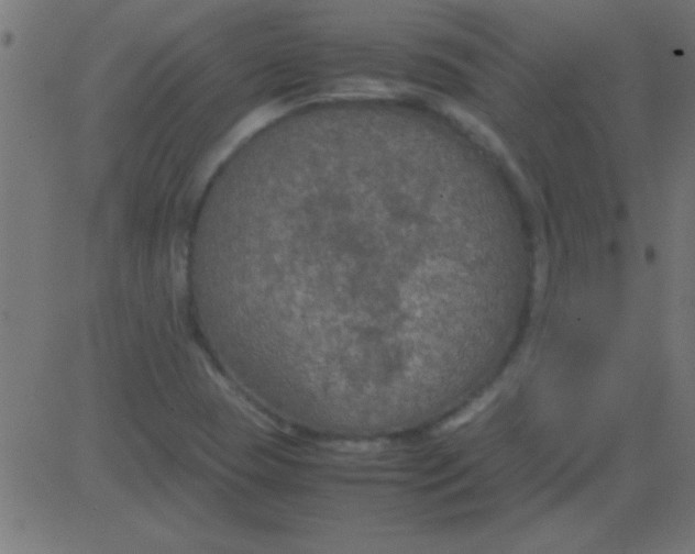 X0000081311409200702012323