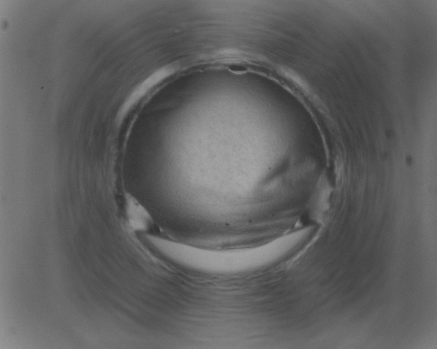 X0000081311410200702012323