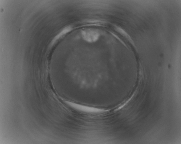 X0000081311411200702012323