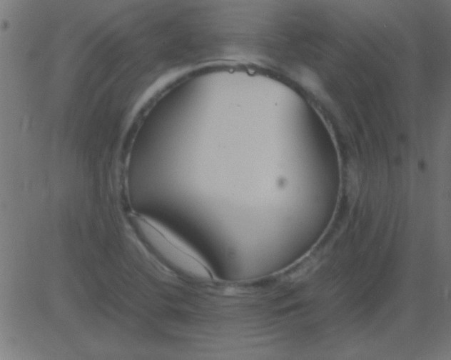 X0000081311412200702012323