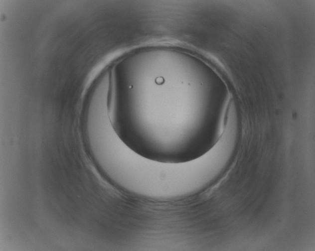 X0000081311414200702012323