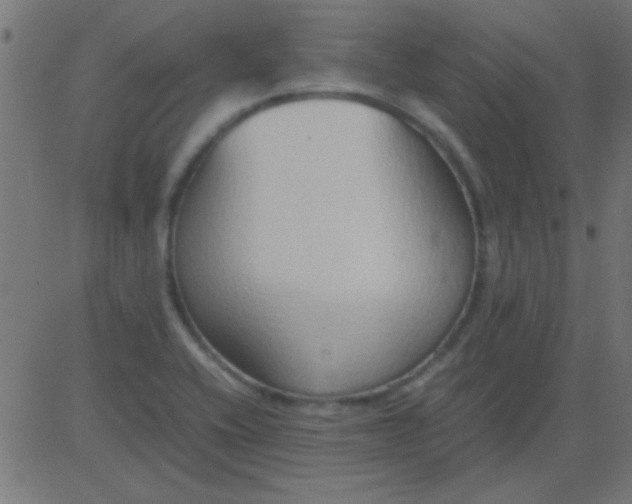 X0000081311416200702012323