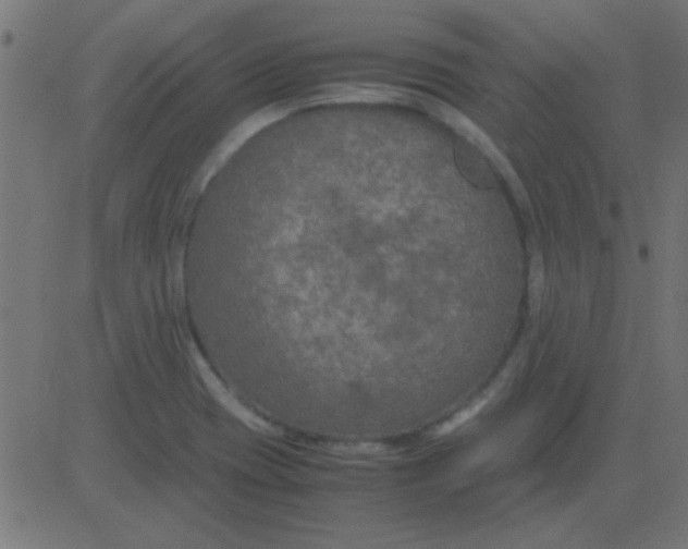 X0000081311417200702012323