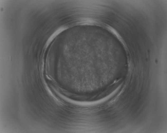 X0000081311418200702012323