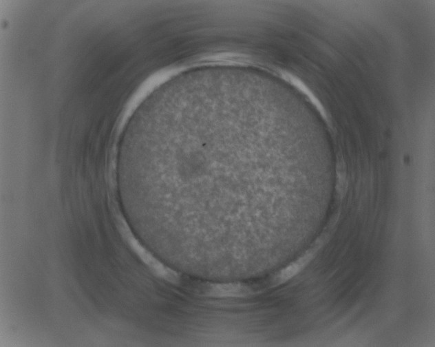 X0000081311421200702012323