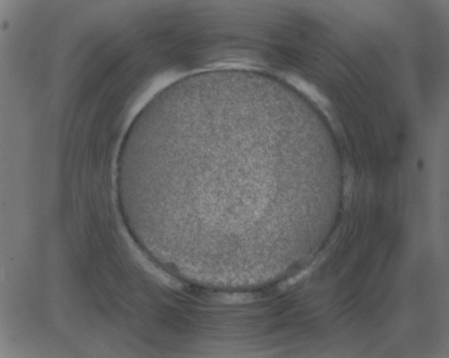 X0000081311423200702012323