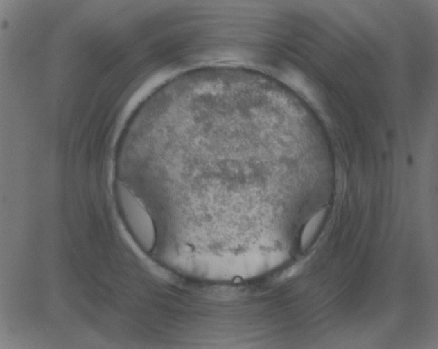 X0000081311424200702012323