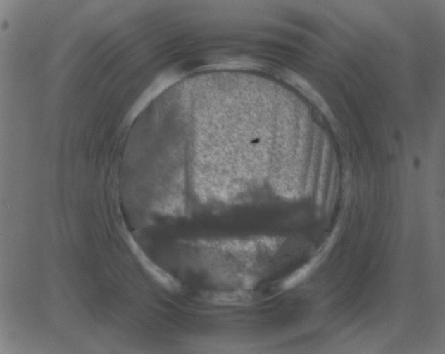 X0000081311425200702012323