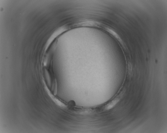 X0000081311426200702012323