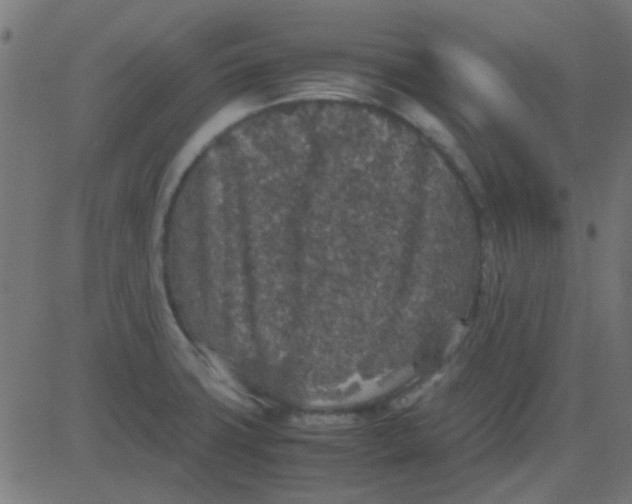 X0000081311427200702012323