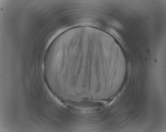 X0000081311428200702012323