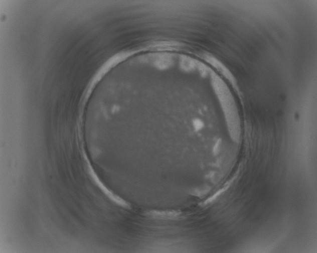 X0000081311429200702012323